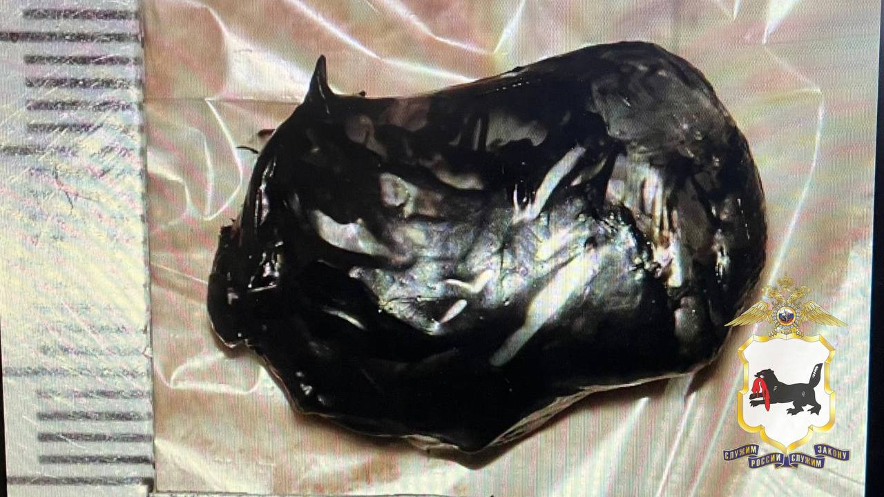 Фото: Telegram-канал «МВД38»