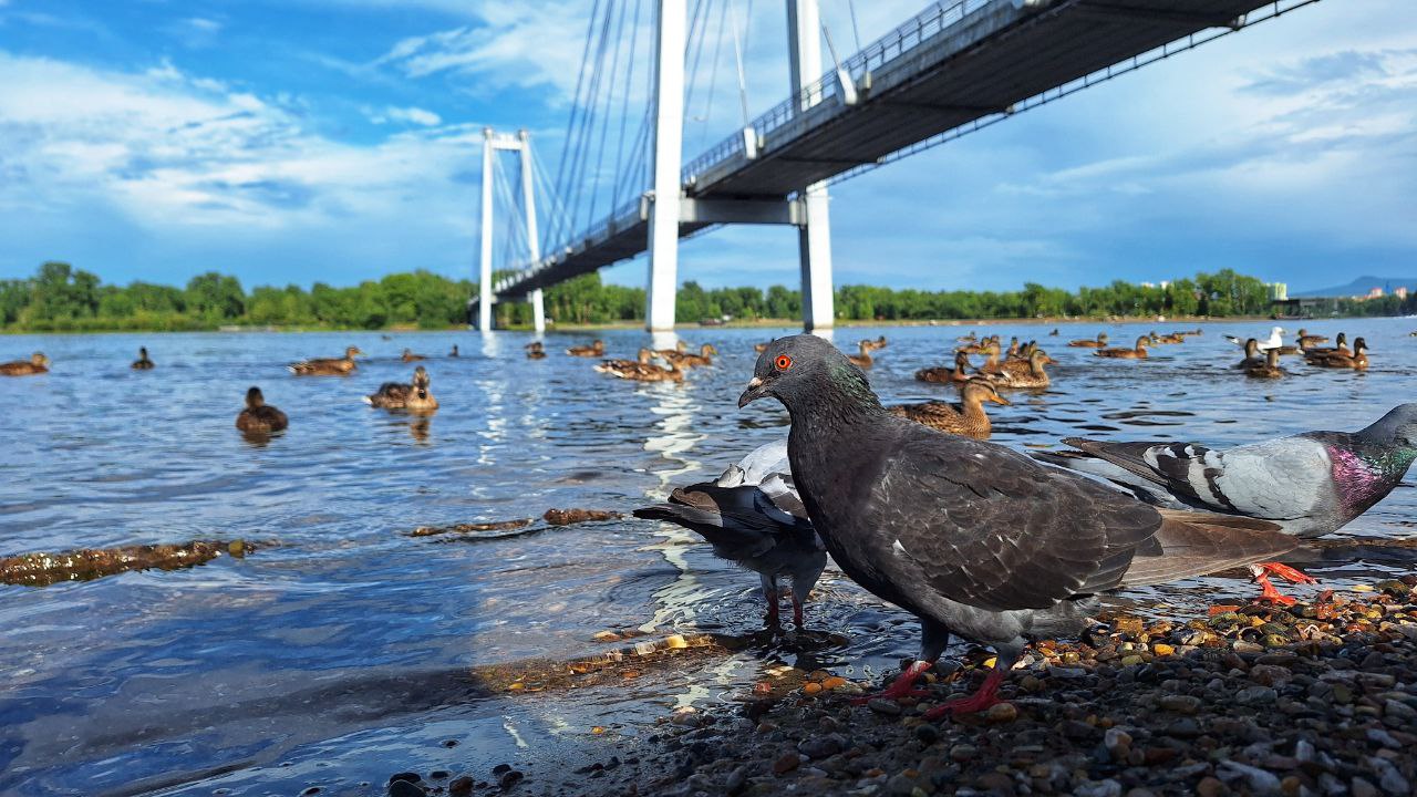 Фото: sibnovosti.ru