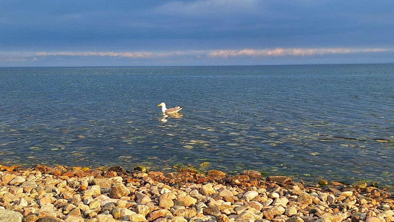 Фото: sibnovosti.ru