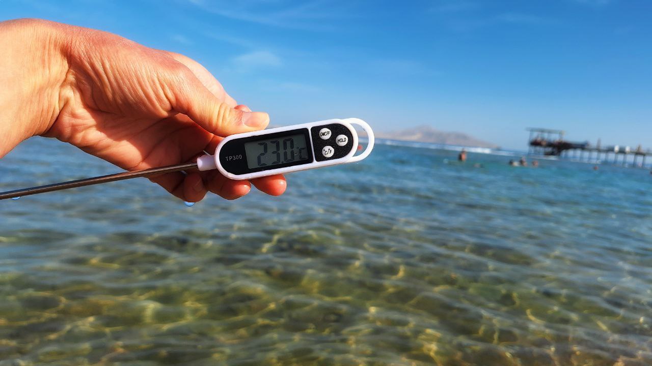 Фото: sibnovosti.ru