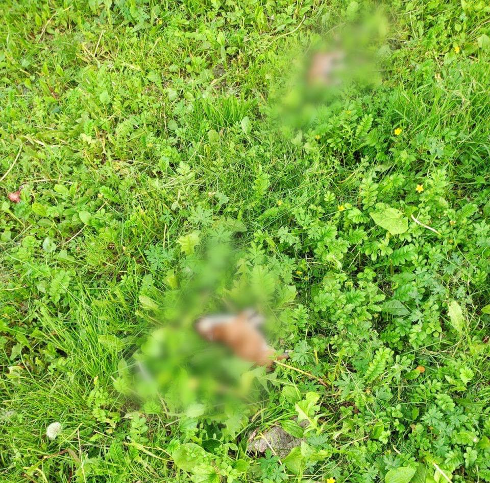 Фото: Прокуратура Красноярского края