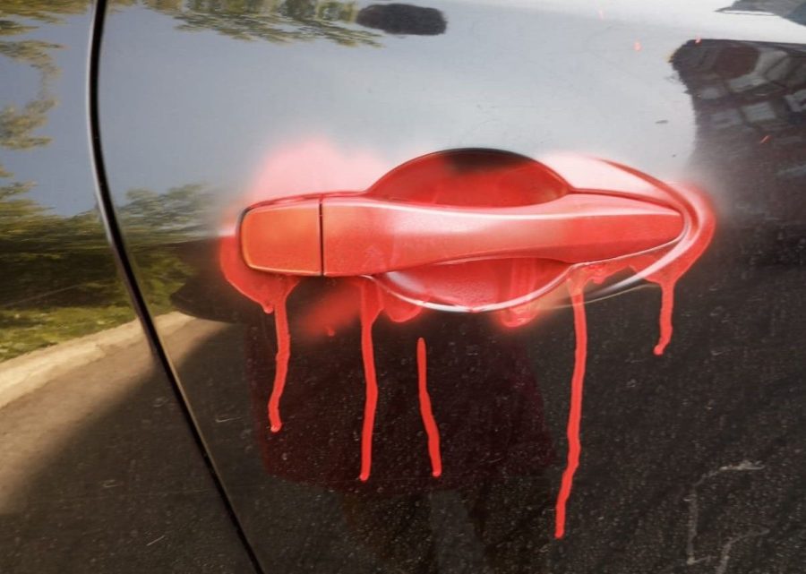 Фото: ГУ МВД по Кемеровской области