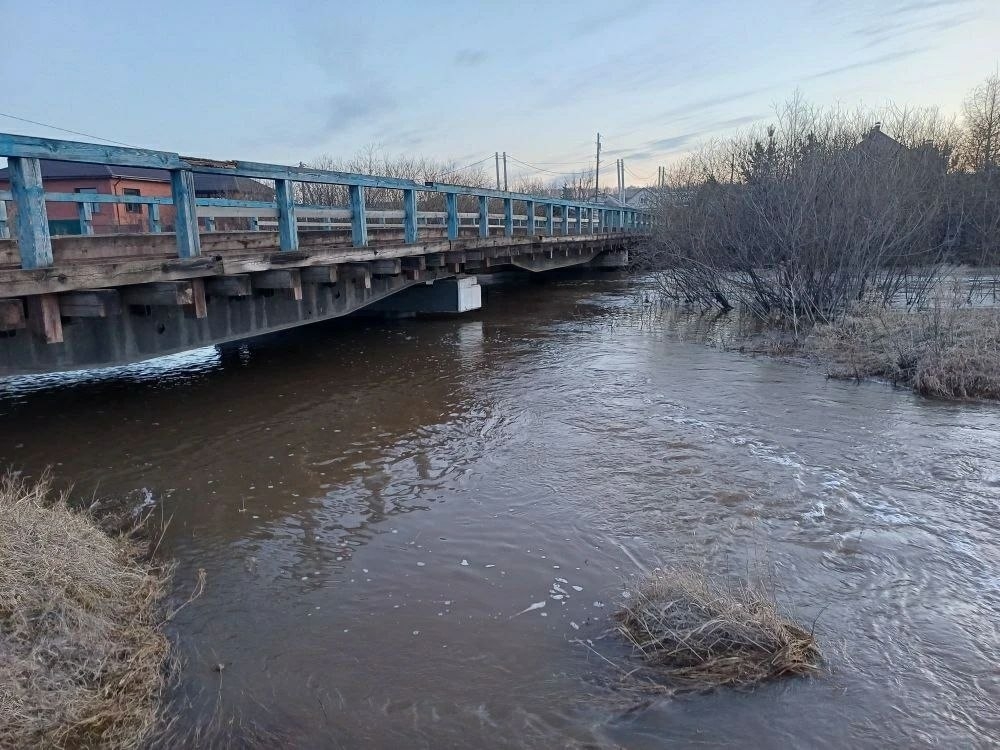 Фото: sibnovosti.ru