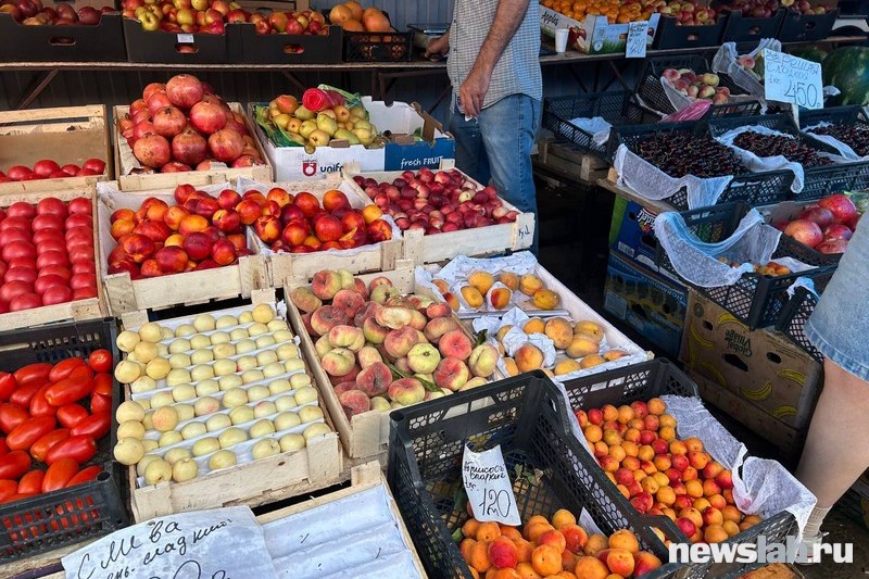 Фото: Newslab.ru