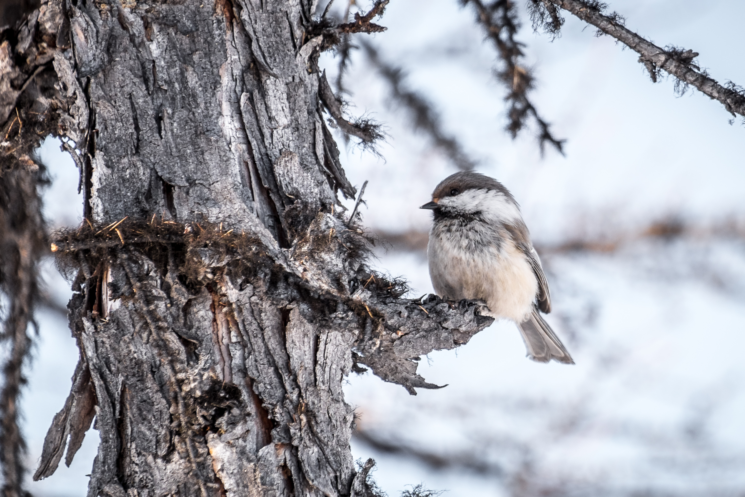Фото: АО «Востсибнефтегаз»