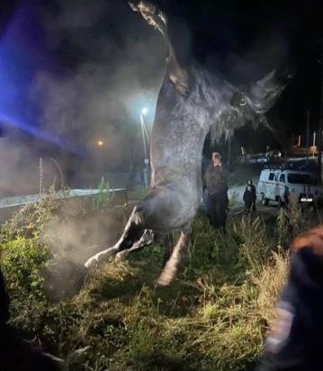 Фото: КГКУ «Спасатель»