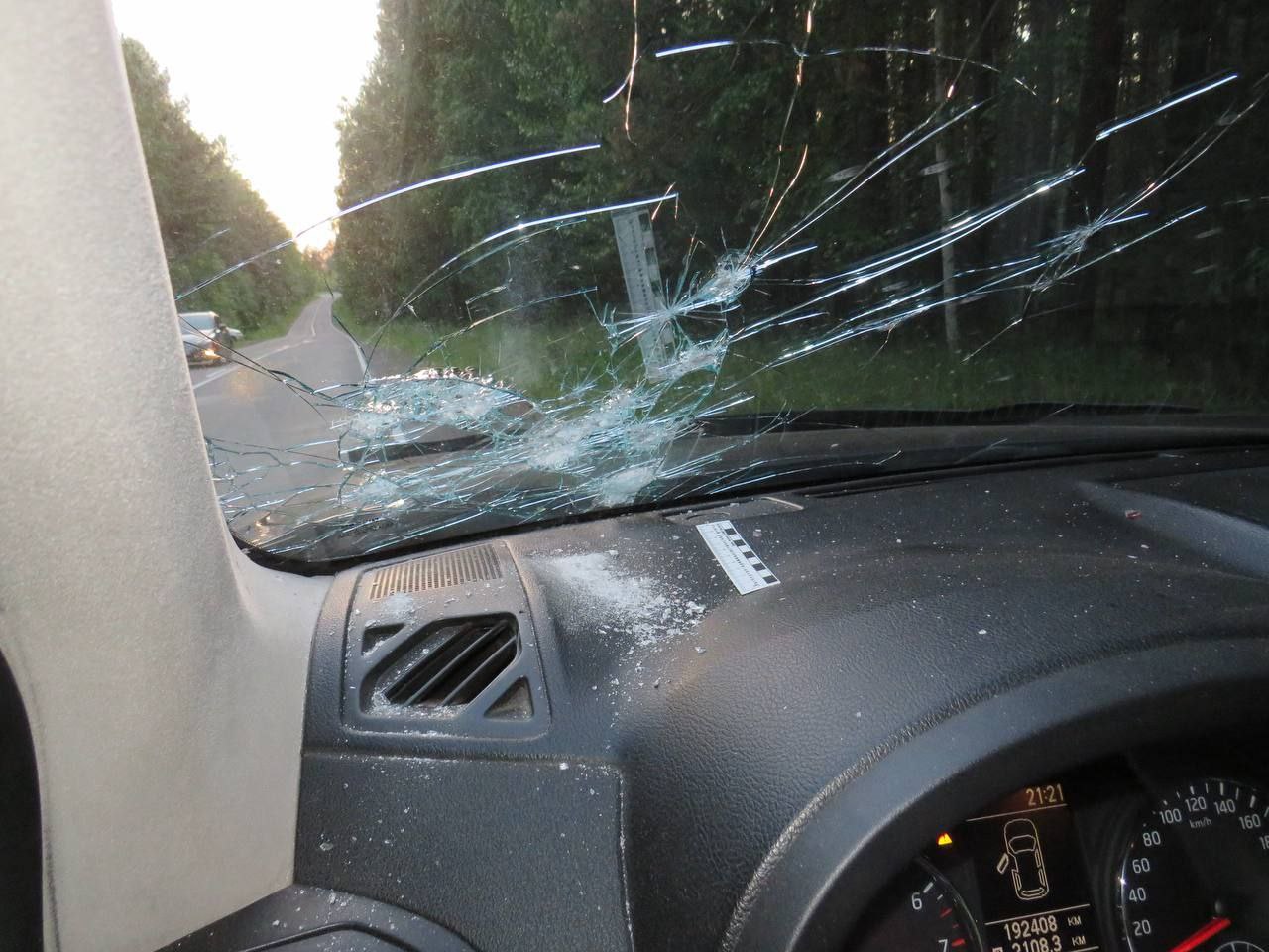 Фото: ГСУ СК России по Красноярскому краю и Республике Хакасия