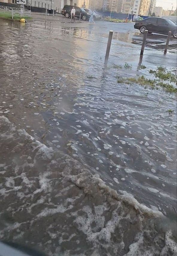 Фото: sibnovosti.ru