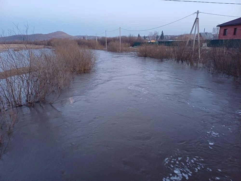 Фото: sibnovosti.ru