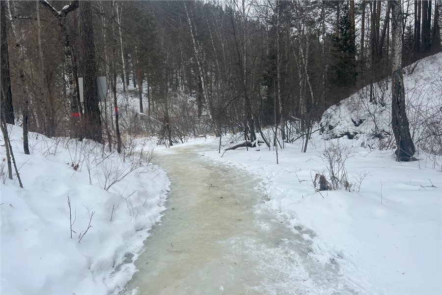 Фото: национальный парк «Красноярские Столбы»