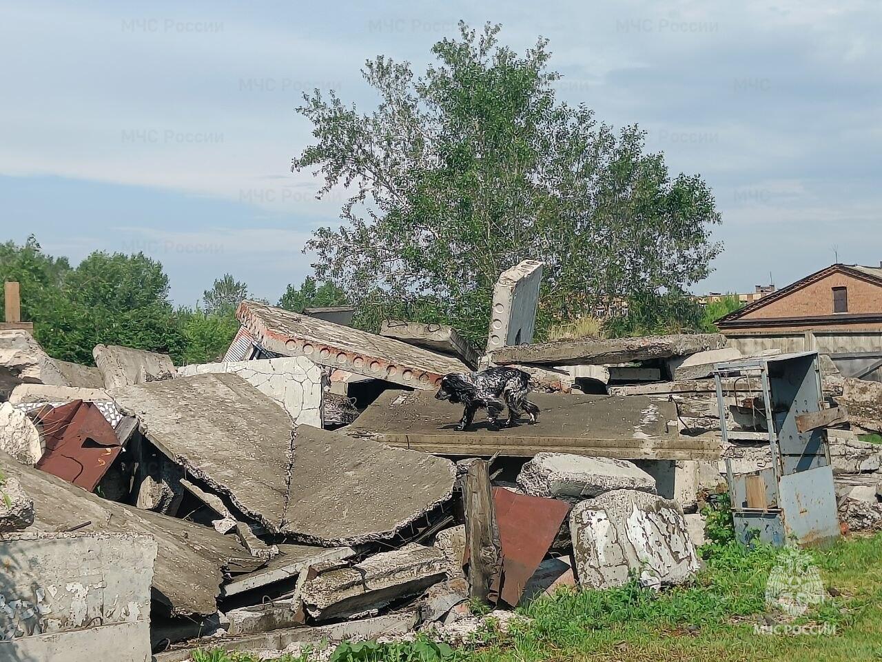 Фото: пресс-служба МЧС по Красноярскому краю