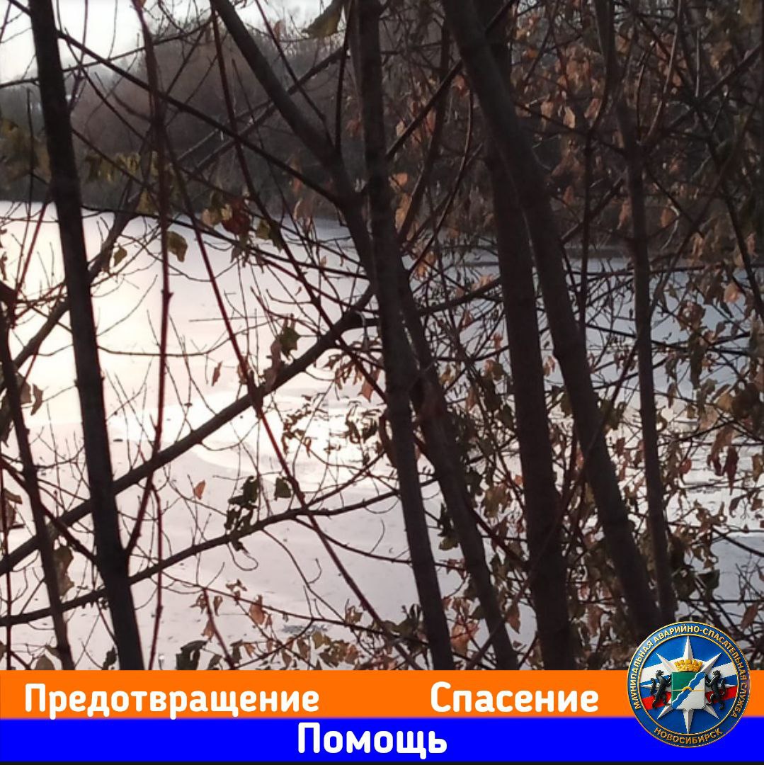 Фото: СПАСАТЕЛИ МАСС