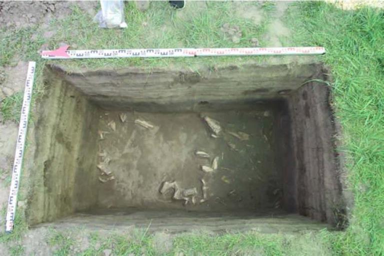 Фото: Администрация г. Красноярска