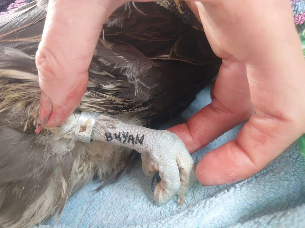 Фото: фонд «Мир Вокруг Тебя»