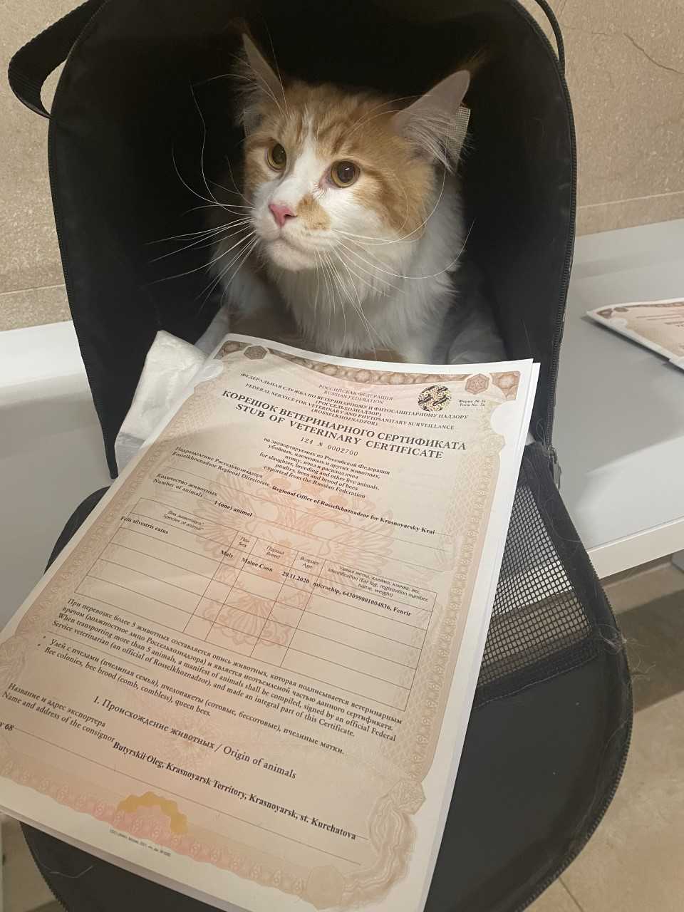 пресс-служба Управления Россельхознадзора по Красноярскому краю