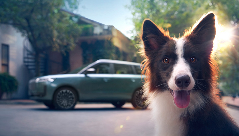 Фото: © ООО «Медведь Альянс"