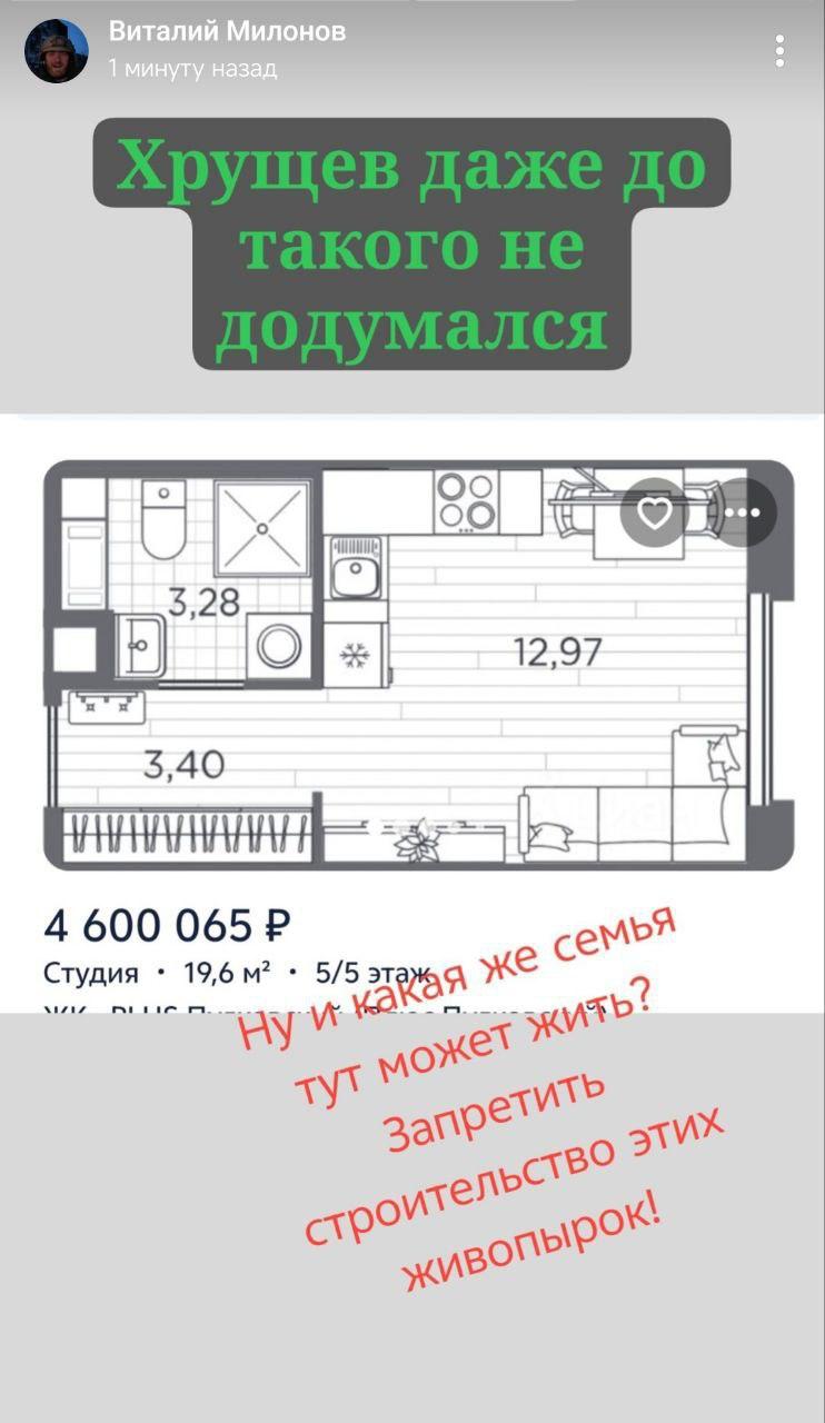 Скриншот: Виталий Милонов 