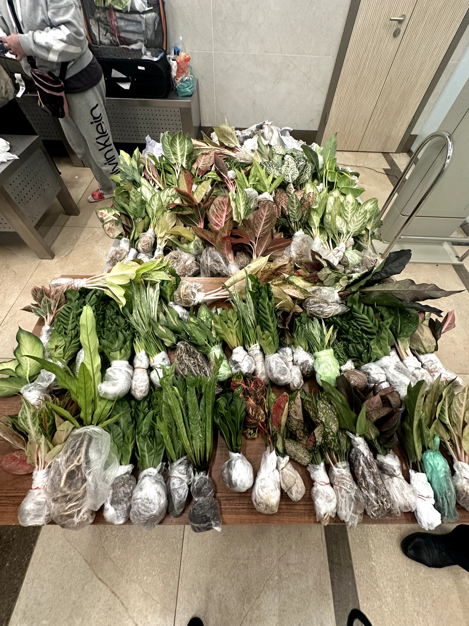 Фото: Сибирское таможенное управление / stu.customs.gov.ru