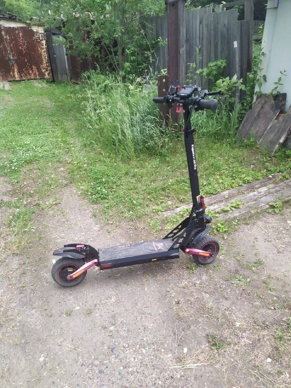 Фото: Telegram-канал «24_ГОСАВТОИНСПЕКЦИЯ»