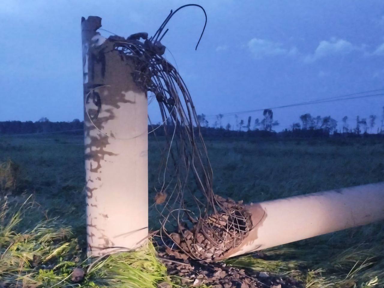 Фото: Честный Новосибирск / vk.com