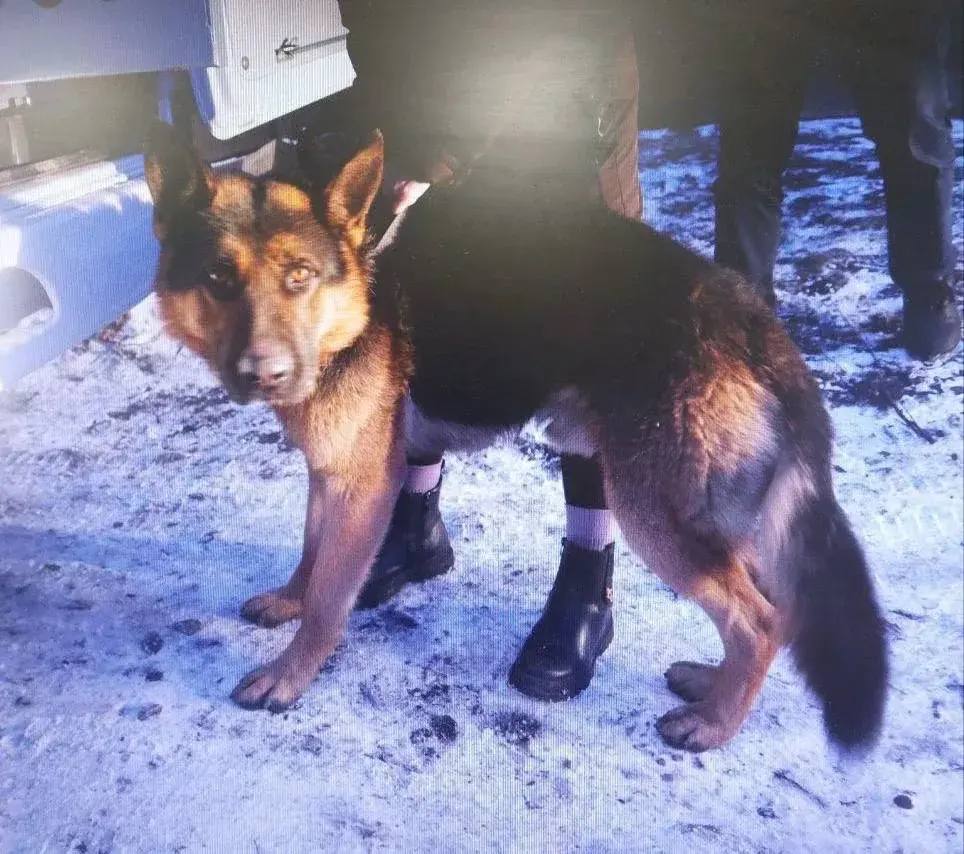 Фото: ГСУ СК России по Красноярскому краю и Республики Хакасия