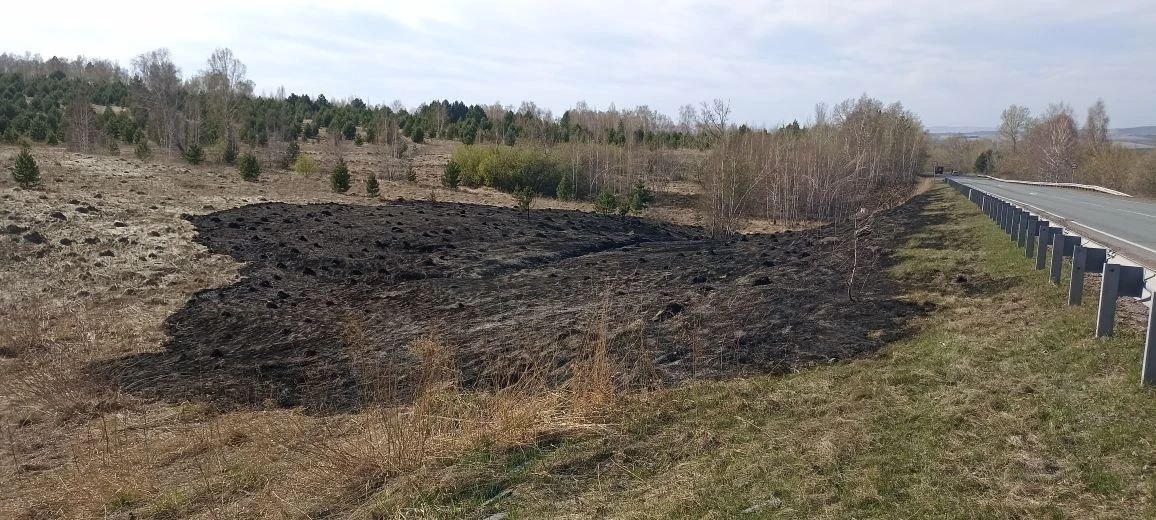 Фото: Лесопожарный центр Красноярского края