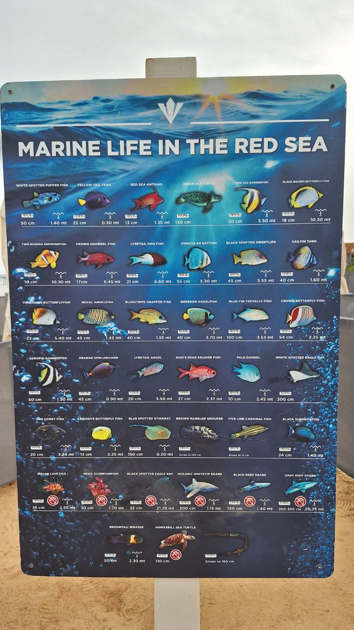 Фото: sibnovosti.ru