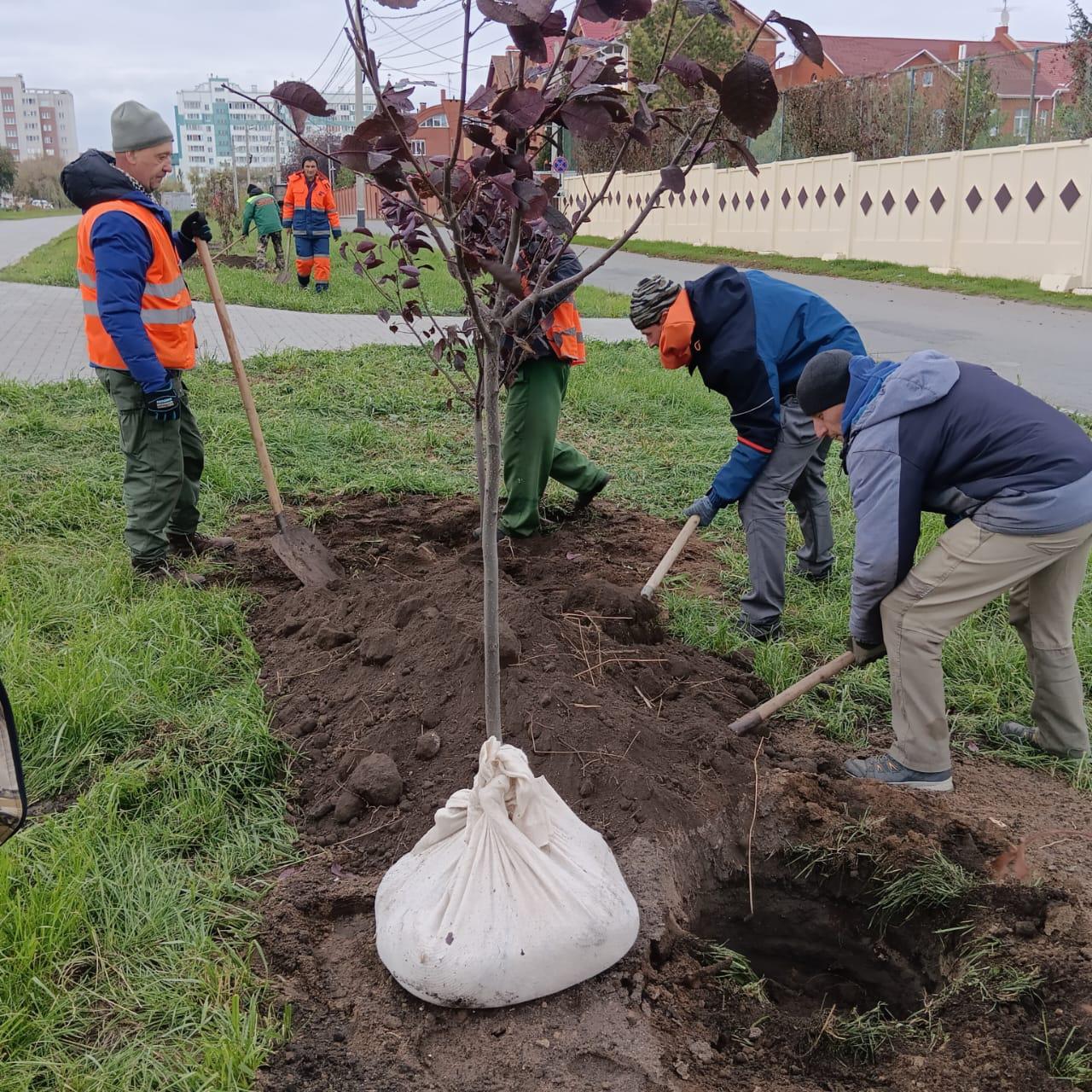 Фото: Telegram-канал «Мэр Омска Сергей Шелест»