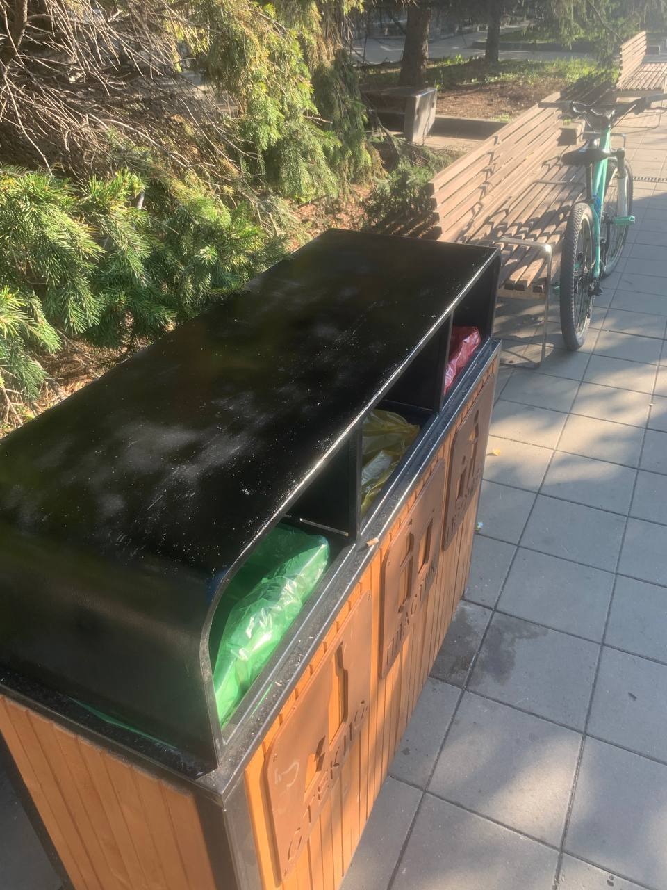  Фото: Telegram-канал «Борус»