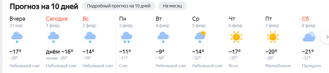 Фото: скриншот Яндекс Погода. Томск