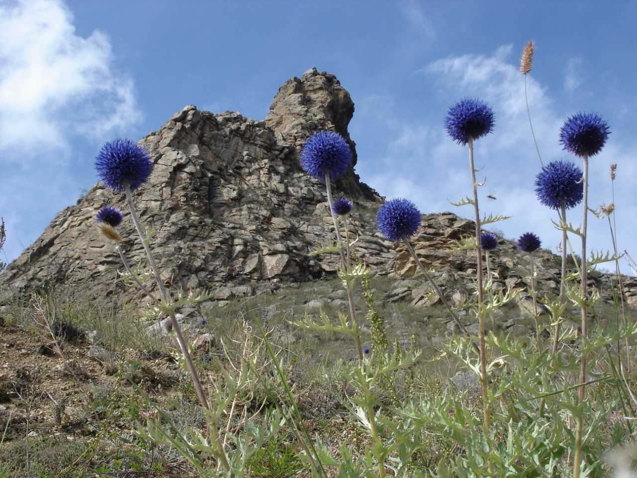 Фото: Фонд «Озеро Байкал»