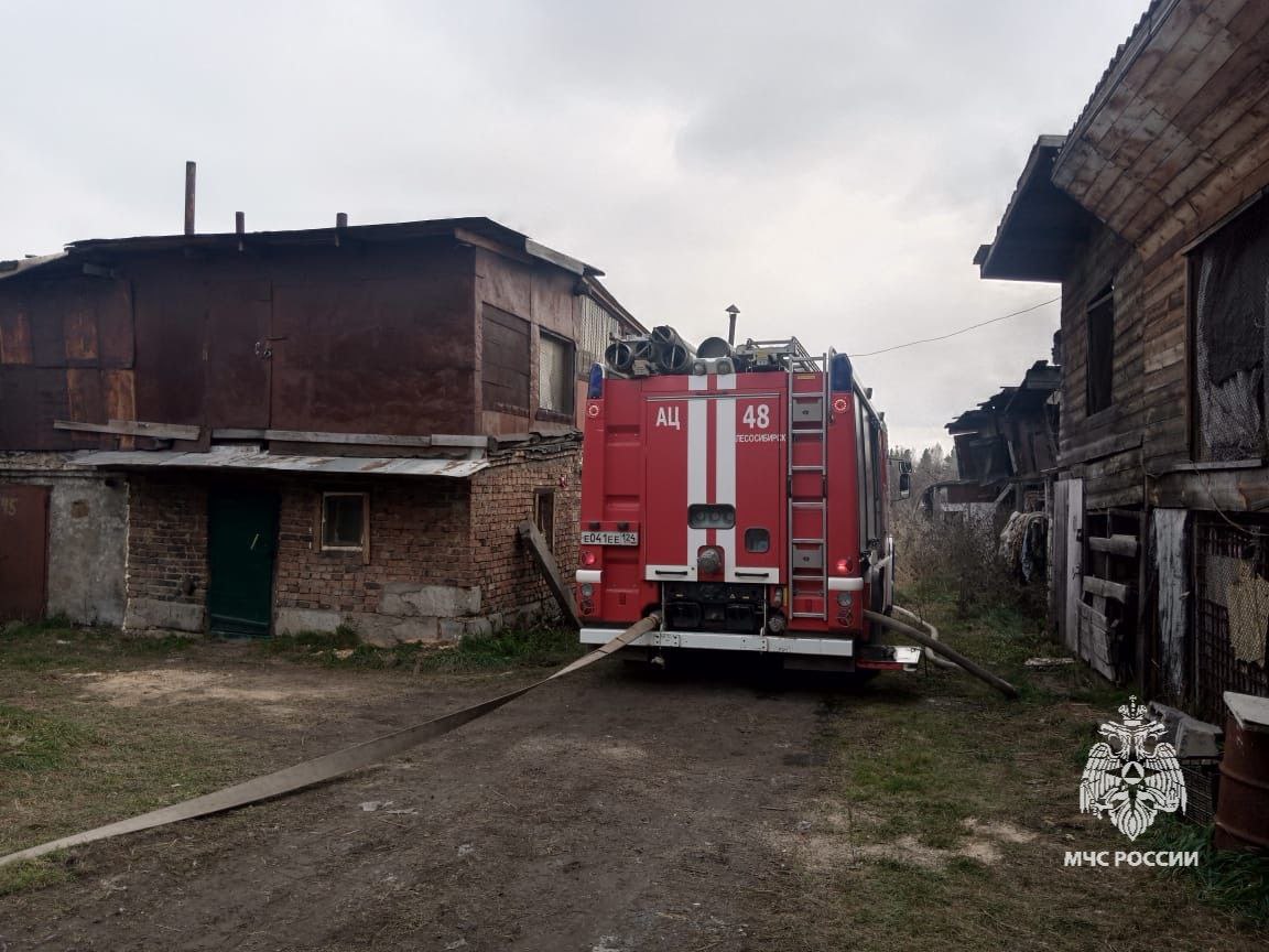 Фото: МЧС Красноярского края