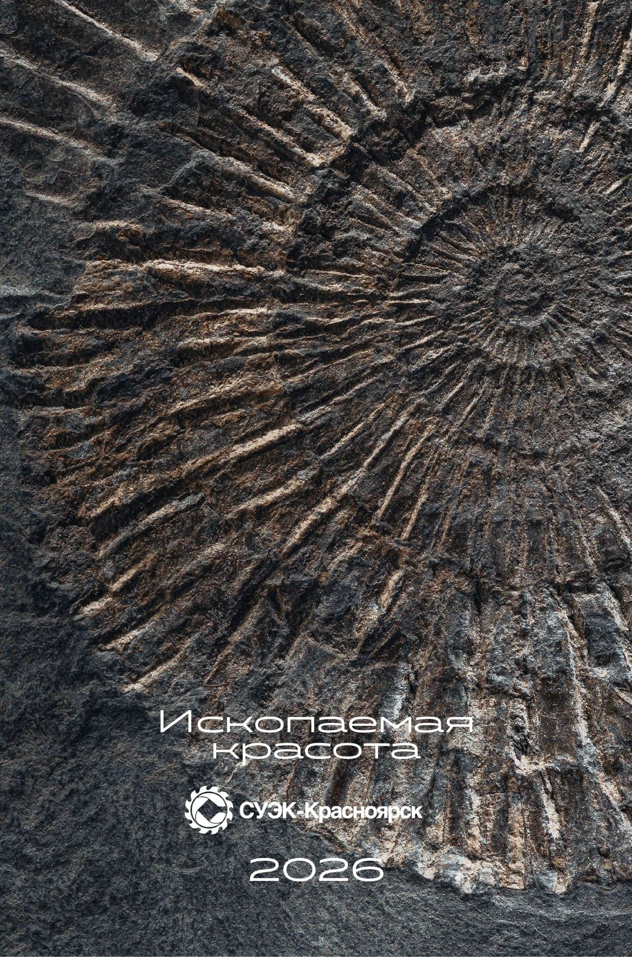 Фото: СУЭК-Красноярск