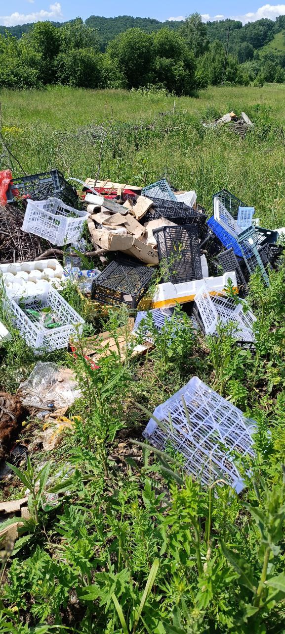 фото: Народный фронт Красноярского края