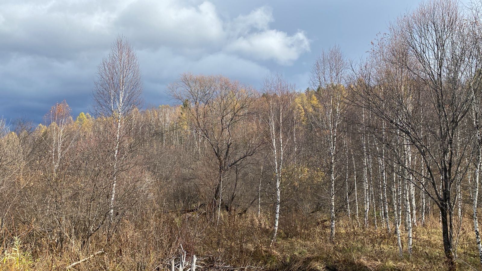 Фото: ГСУ СК России по Красноярскому краю