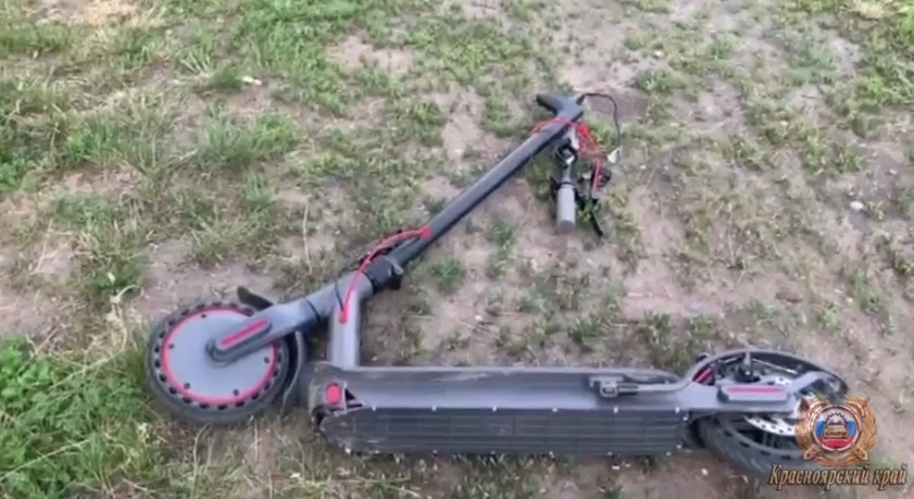 Скриншот: 24_ГОСАВТОИНСПЕКЦИЯ_ / Telegram