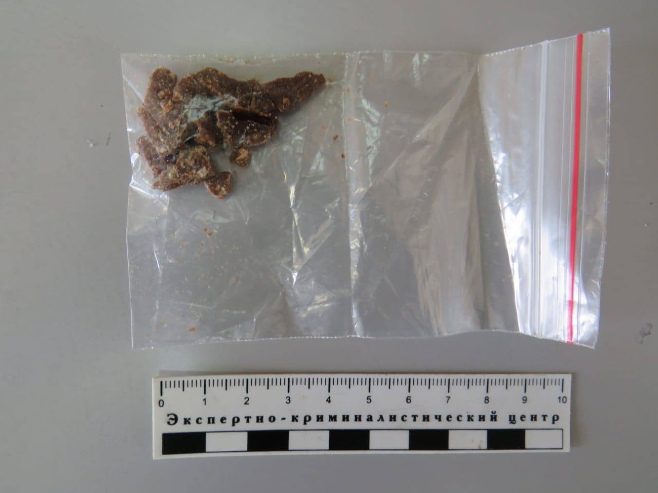 Фото: МВД Красноярского края / t.me/mvd_24