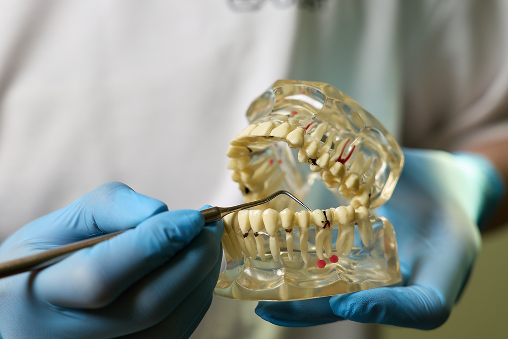 Фото: © Парамонов Павел