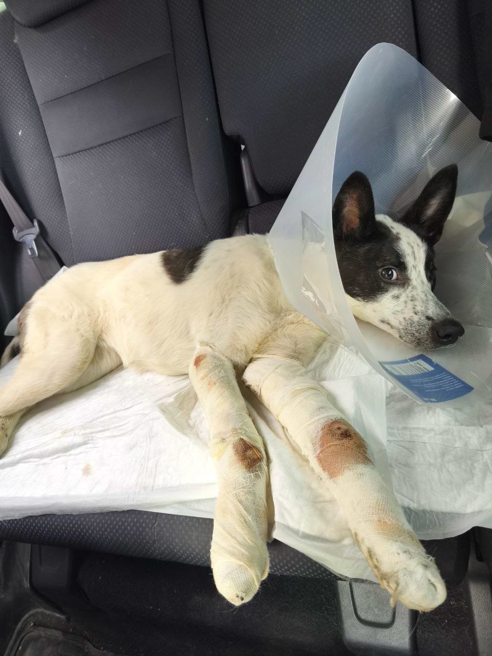 Фото: Telegram-канал «МВД 24»