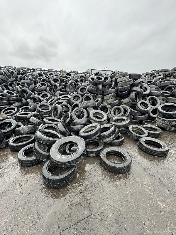 Фото: Администрация Красноярска