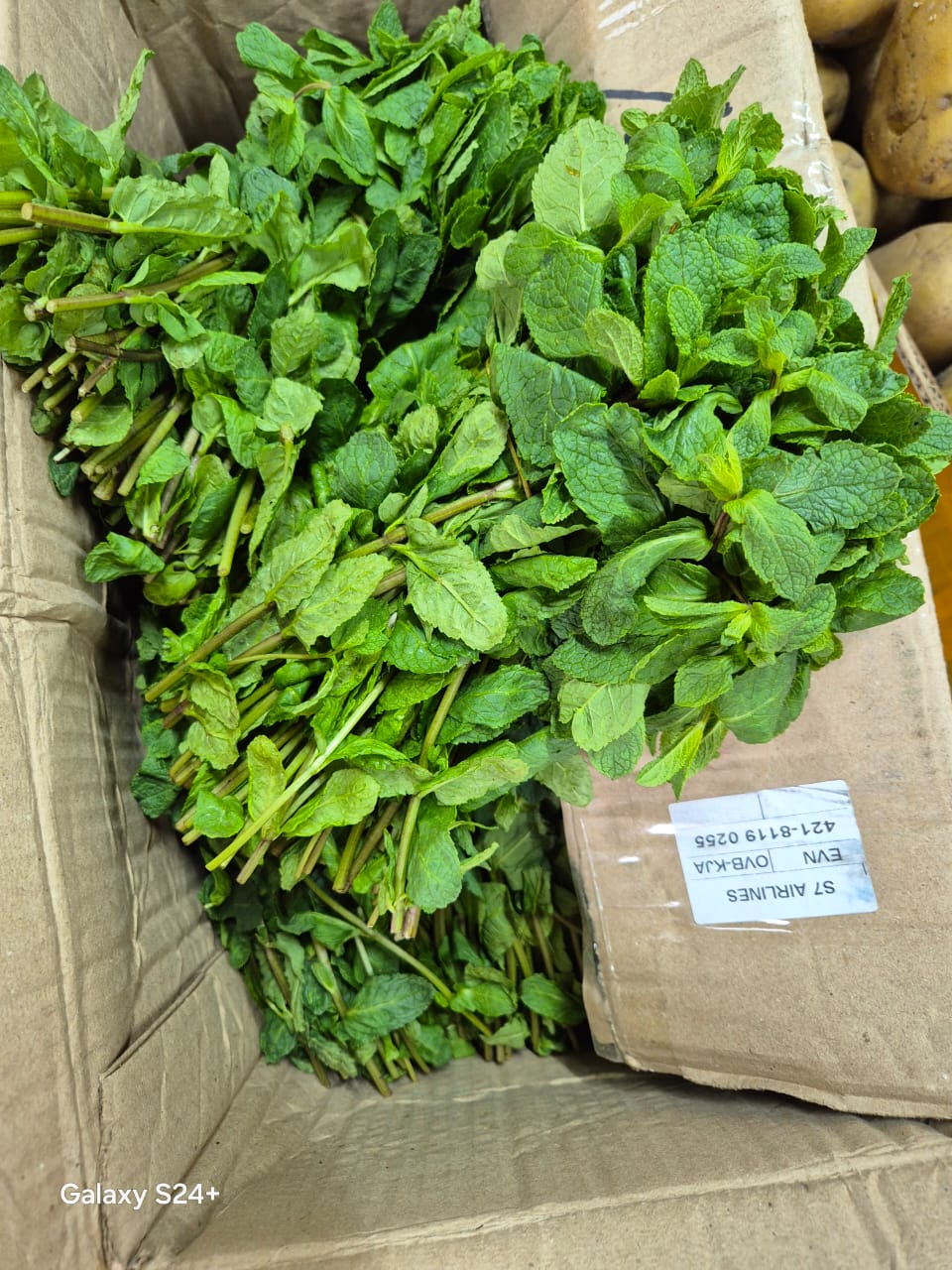 Фото: официальный канал Управления Россельхознадзора по Красноярскому краю