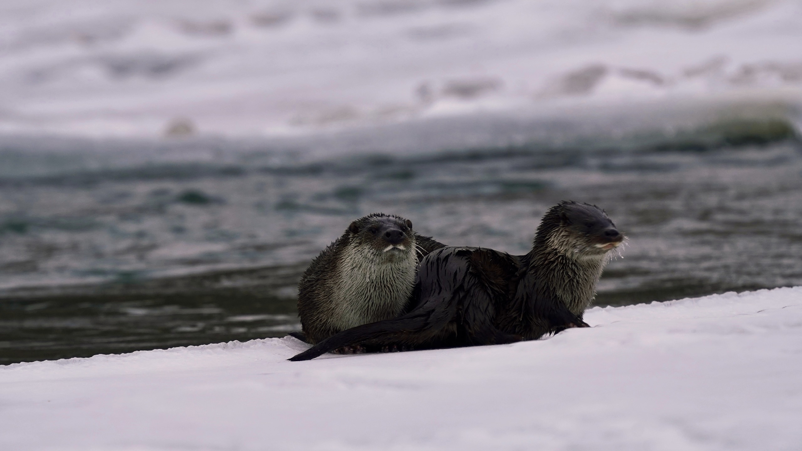 Фото: Денис Гуляев