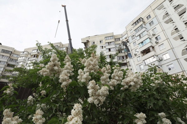 Фото: © РИА Новости / Павел Колядин