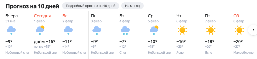 Фото: скриншот Яндекс Погода. Новосибирск