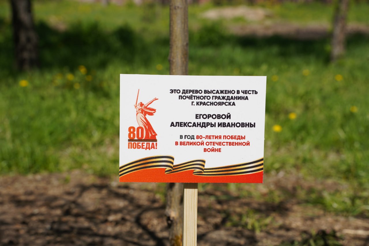 Фото: Telegram-канал «Мэрия Красноярска»