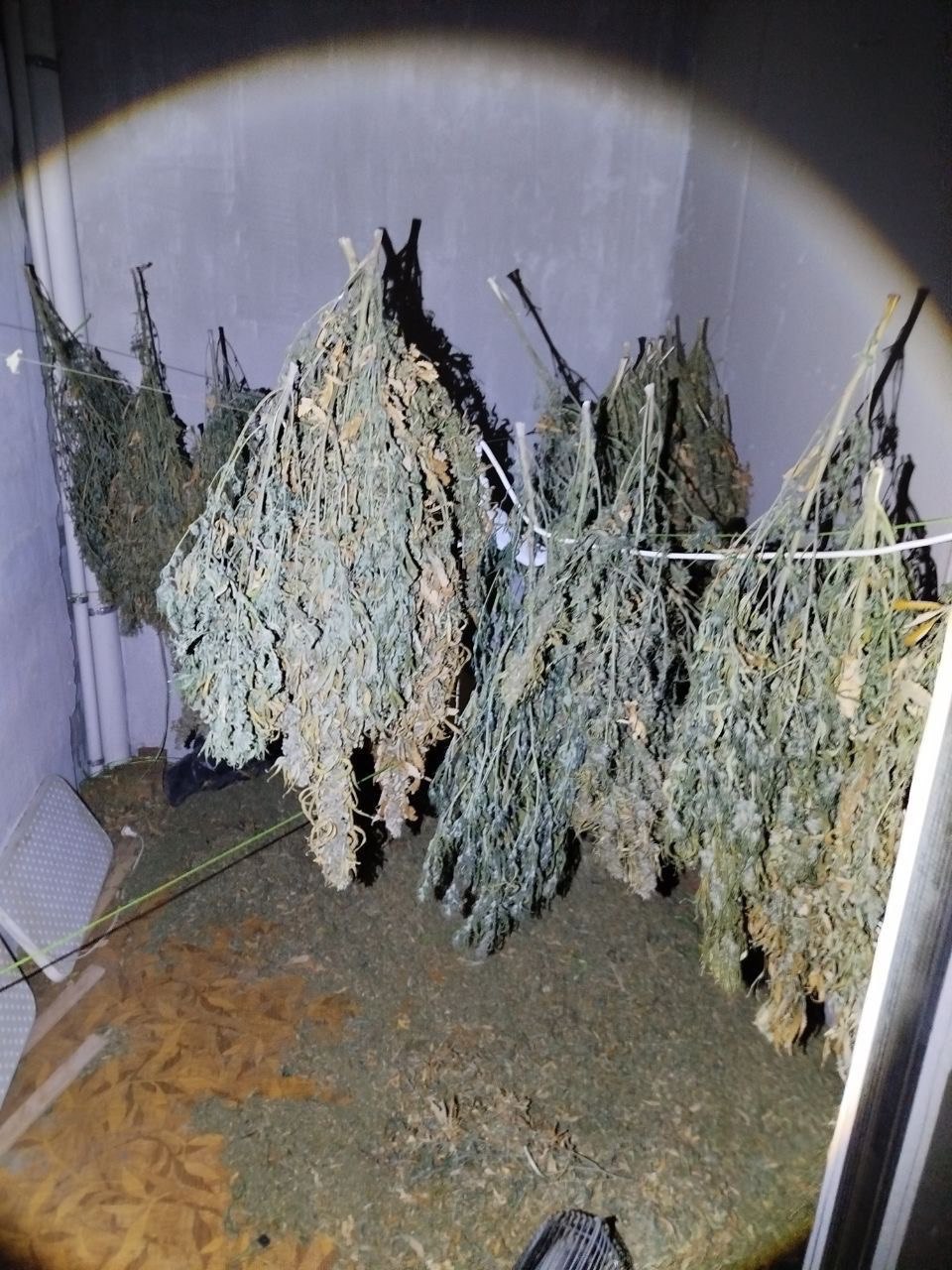 Фото: Telegram-канал «МВД 24»