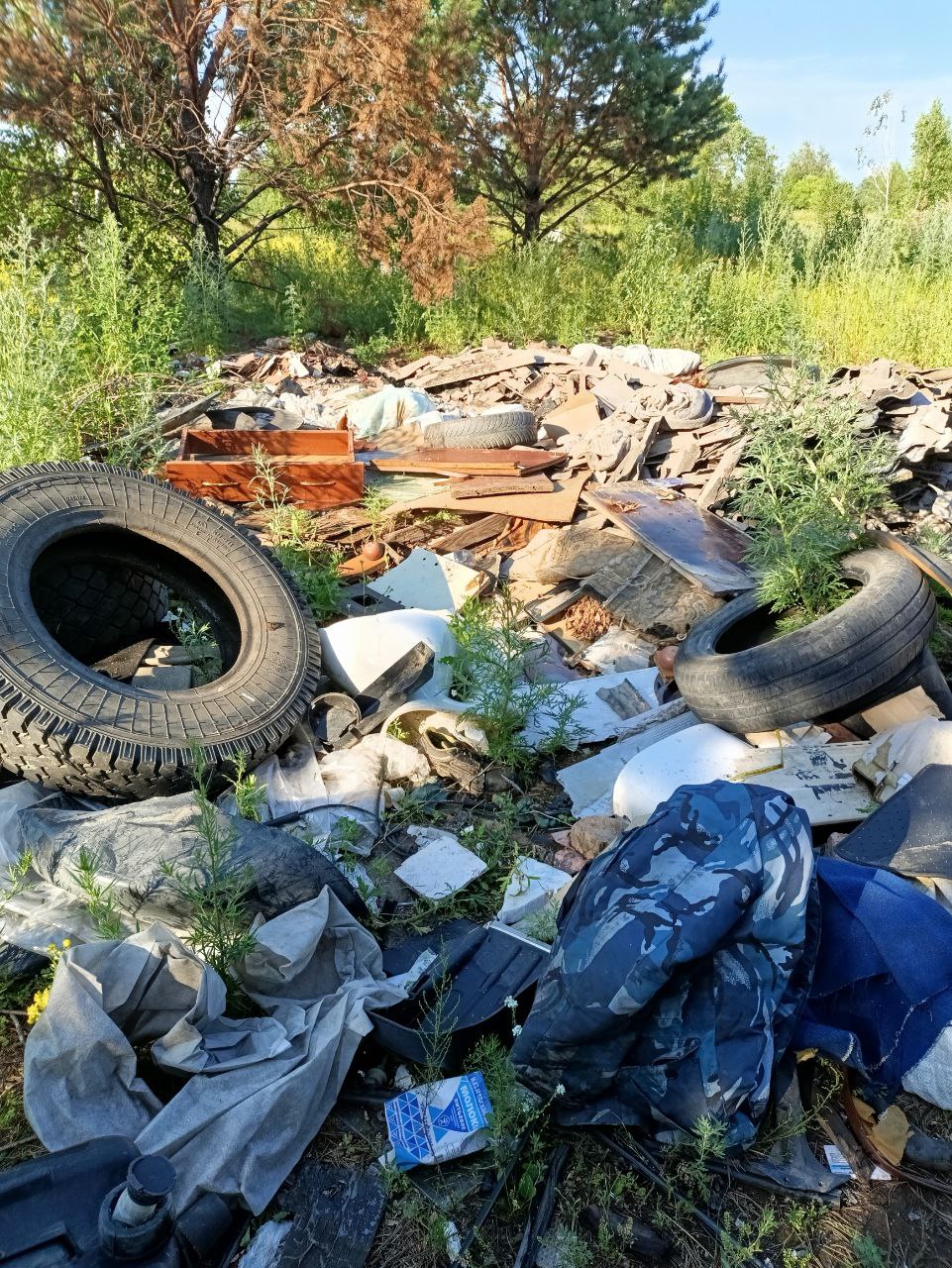 фото: Народный фронт Красноярского края