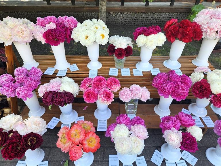 Фото: Администрация г. Красноярска