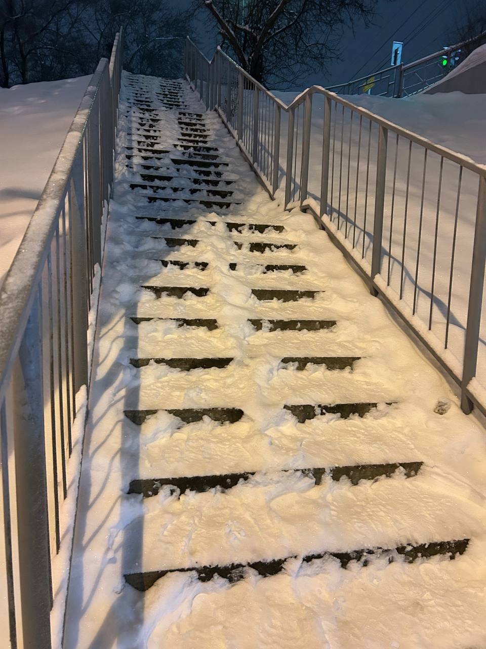 Фото: sibnovosti.ru