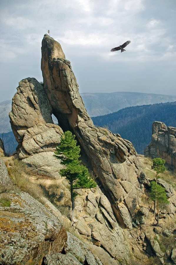 Фото: сайт национального парка «Красноярские Столбы»